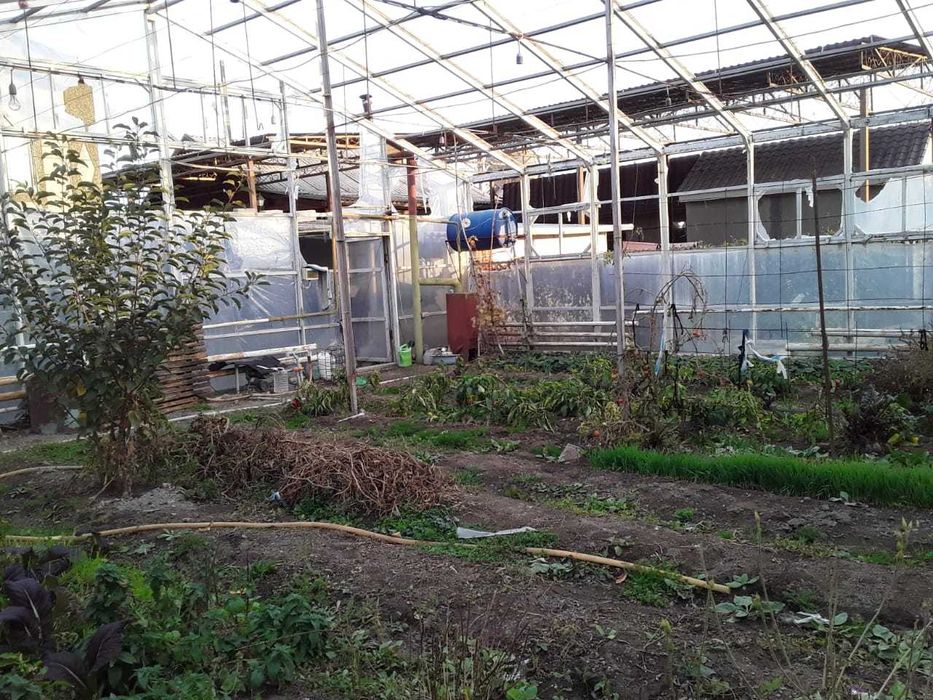 Теплица металлическая 10x12м