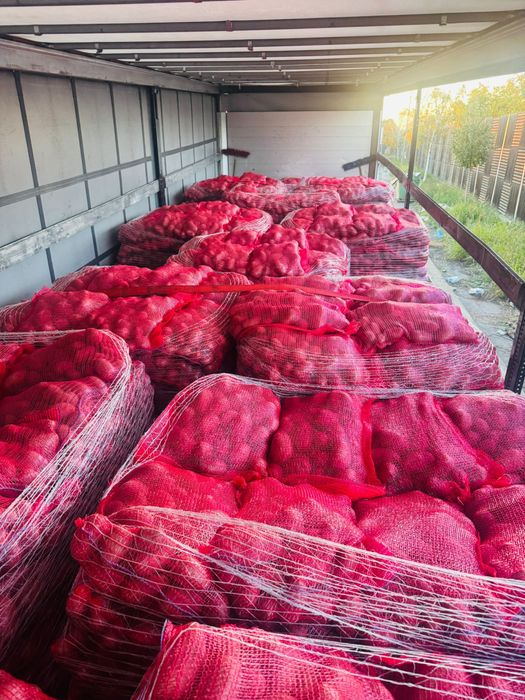 RED LADY 55+  sac stas 25 kg!