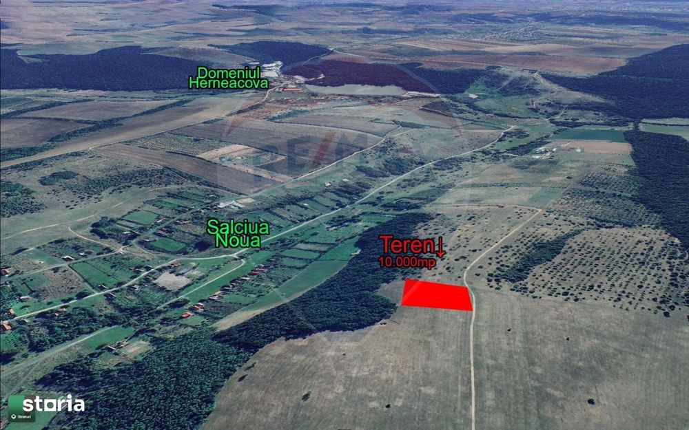 Teren Salciua Noua (comuna Pischia) 10.000mp