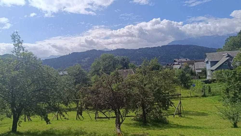 Teren intravilan în suprafață totală de 4.331 mp, Borsa, Maramures