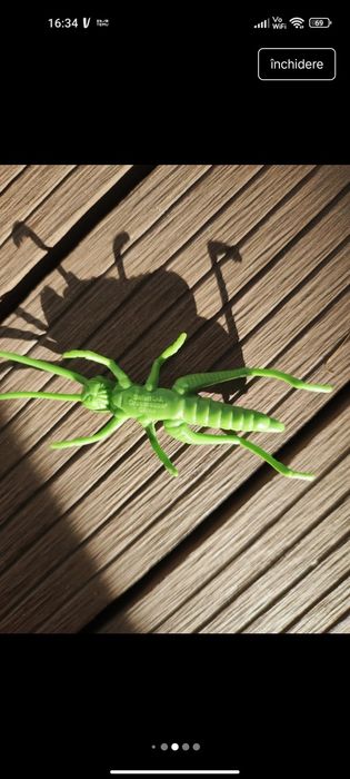 Tub Insecte - Safari LTD Contine 14 insecte