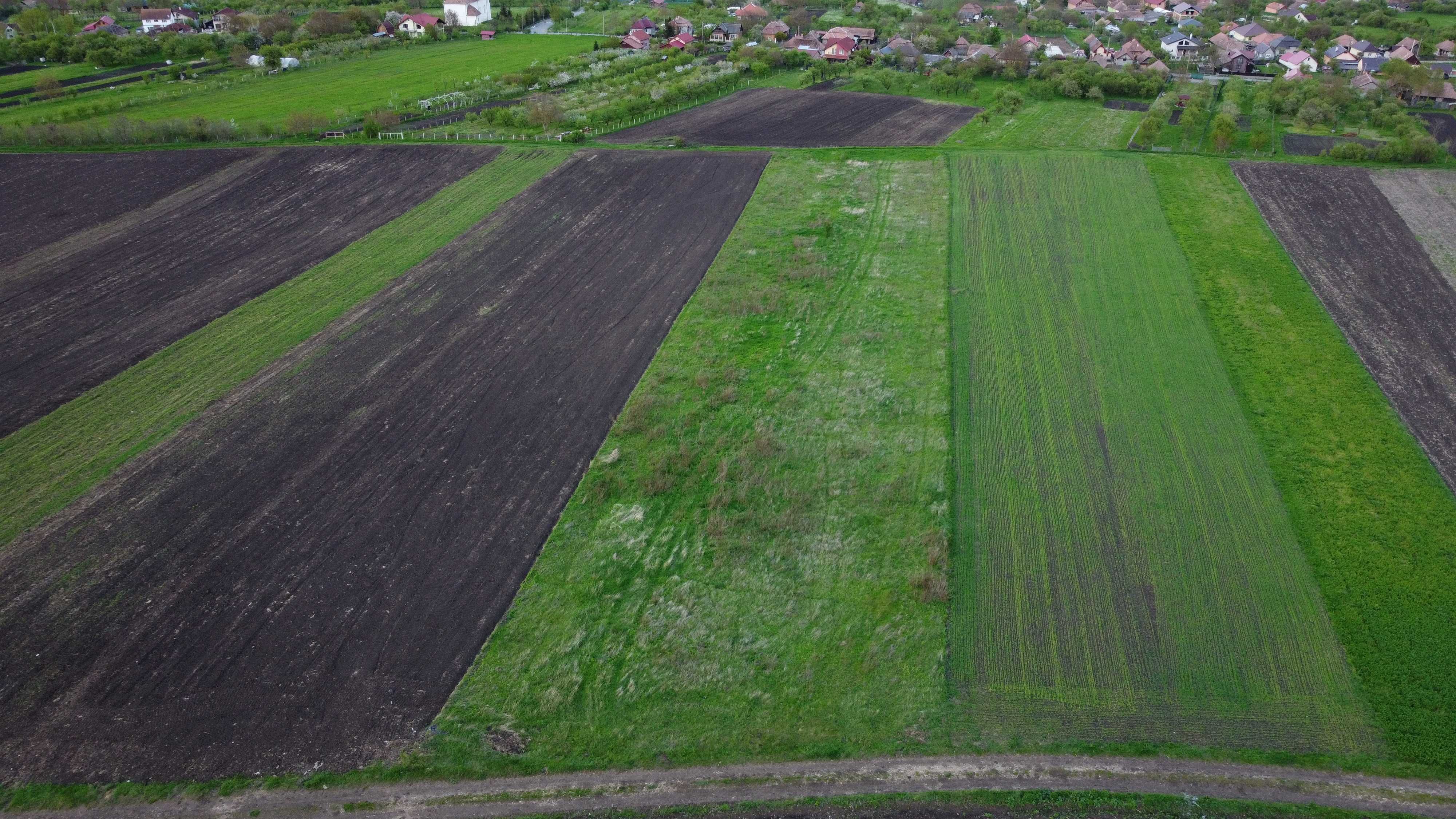 Teren intravilan cu Certificat de Urbanism + extravilan in Tureni