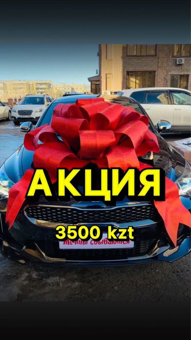 Бант на   машину