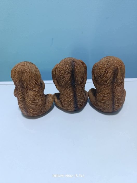 Не знам Не чух Не видях