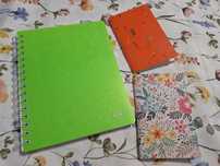 Set caiet cu rigla si buzunar Leitz + 2x carnetele