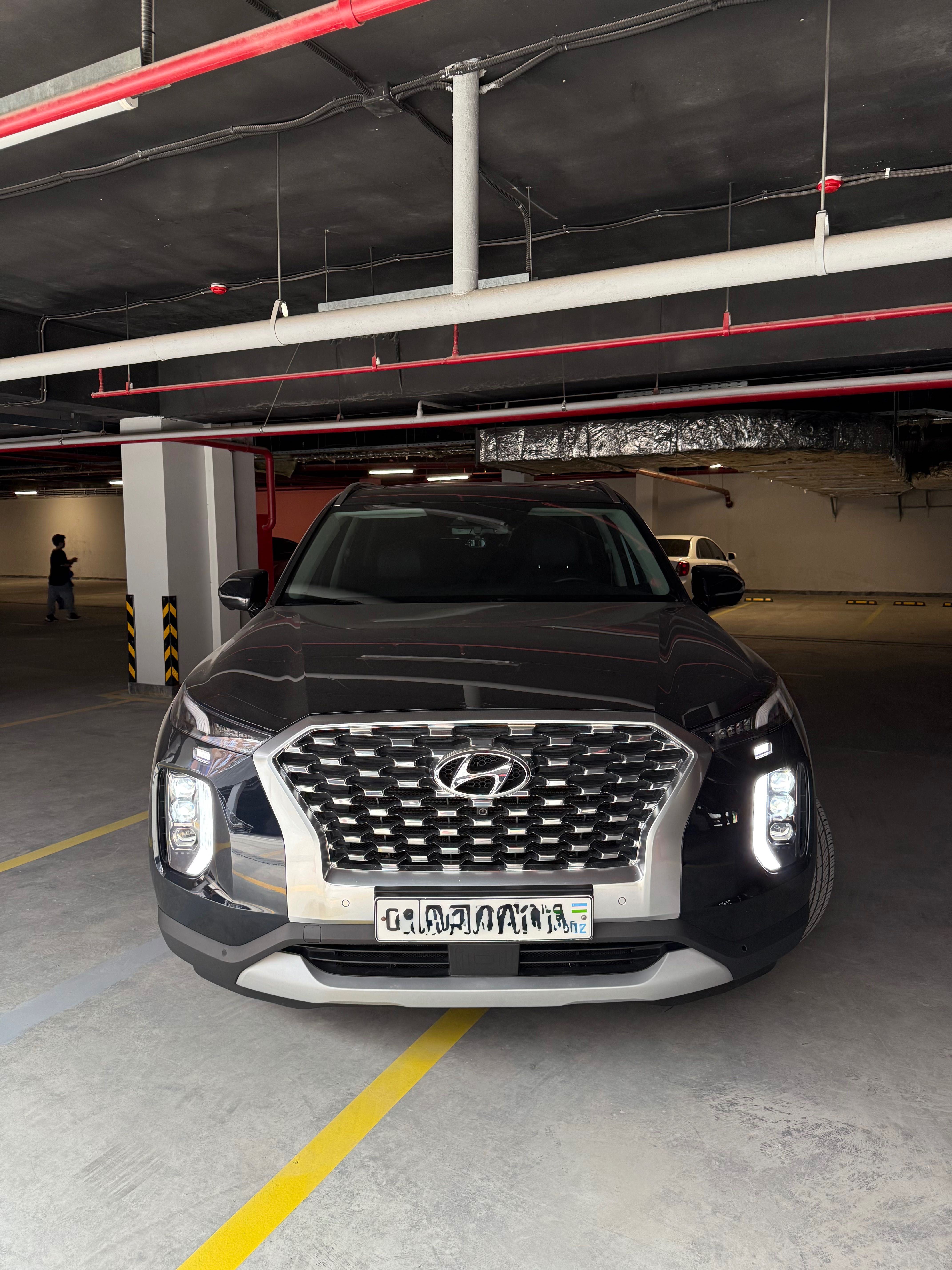 Hyundai Palisade FULL 2022
