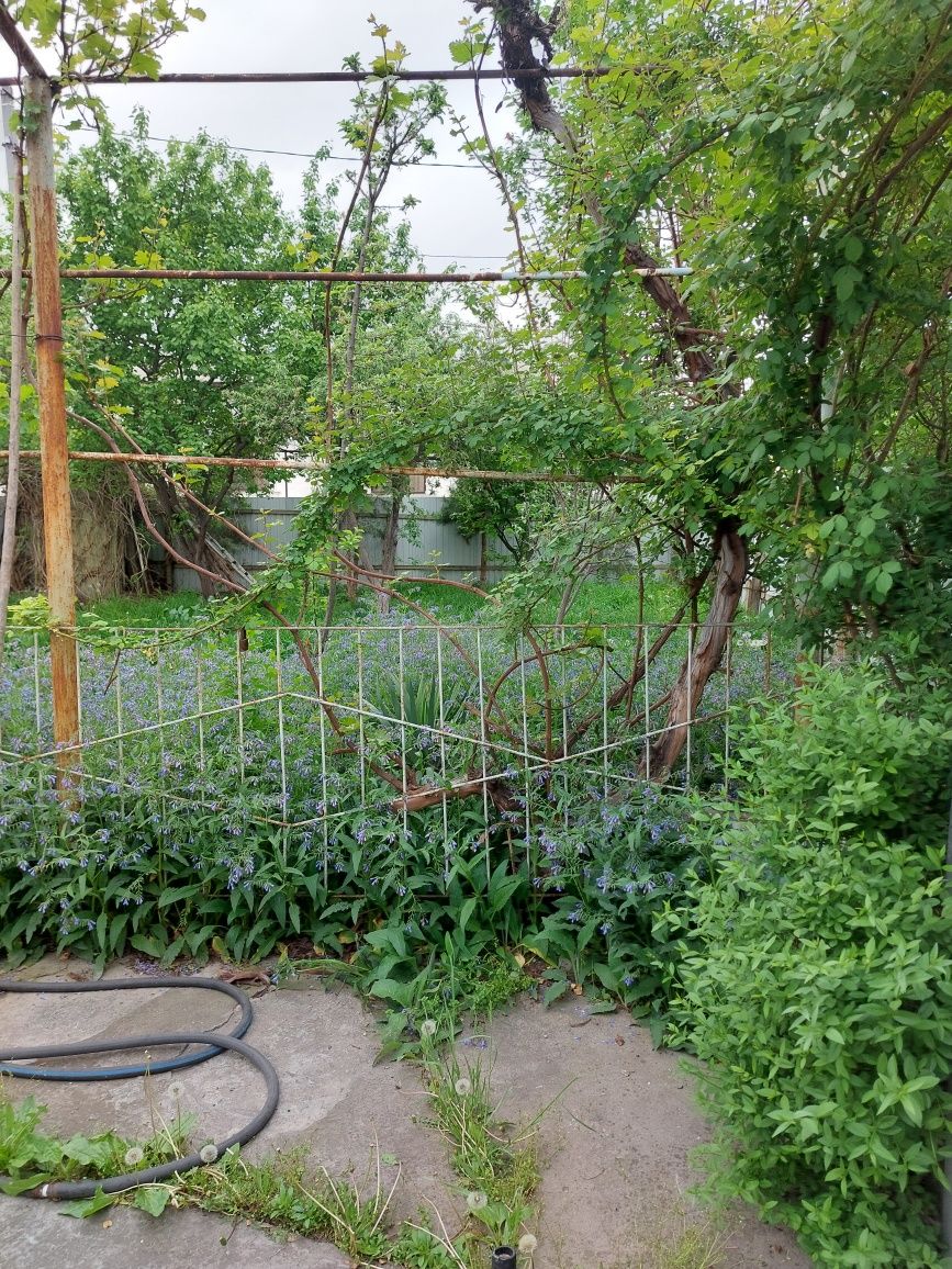 Продаётся дом узгорыш 6 соток, 6 комнат,фасад 43 на 28,
