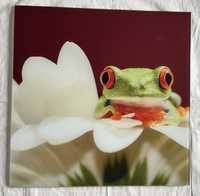 Картини с жаби