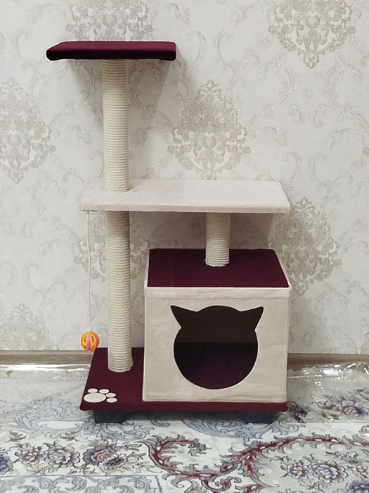 Кашачи доммики сотилади