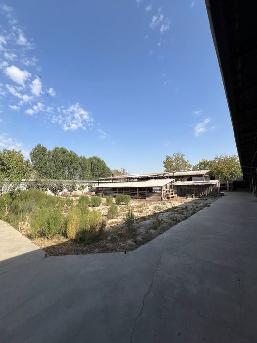 N5027 Zangiota tumani Tayyor ferma Yer sotiladi 20 sotix