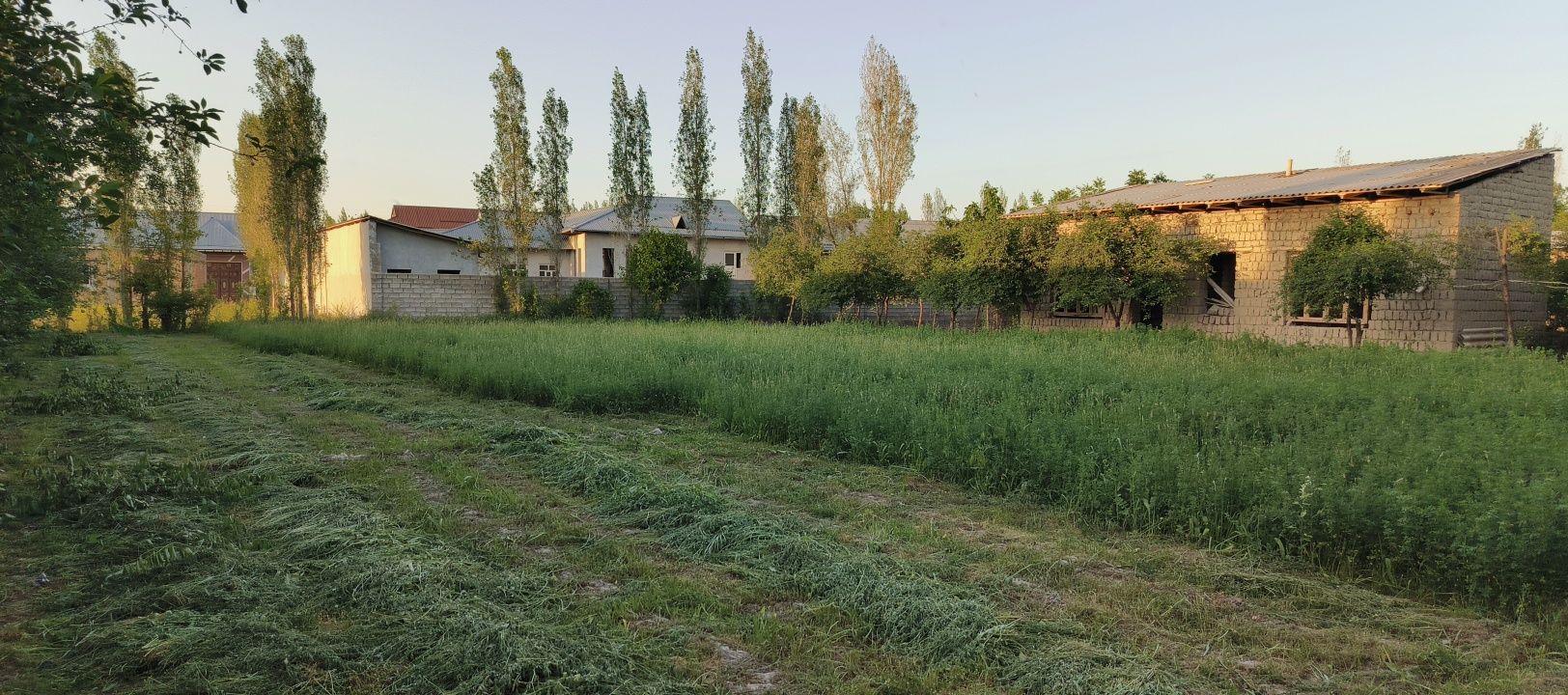 Sa.arqand viloyat jomboy tumani trassa chetida yer uchastka sotiladi