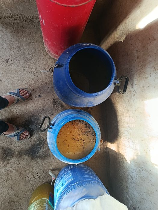 Toza asal bor kelosi 90000 manzil qamashi tumanida