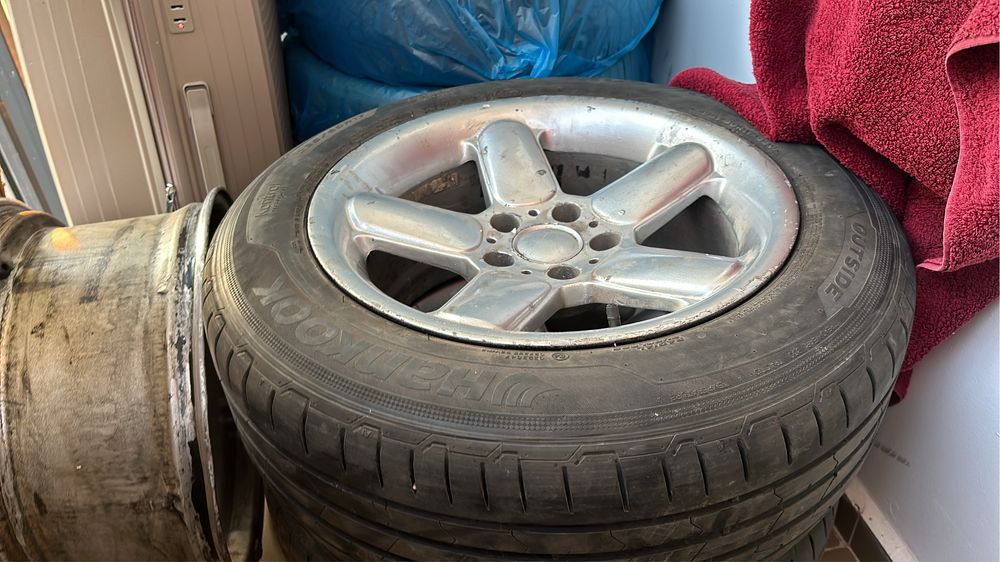 Продаи дикий Шницера R17