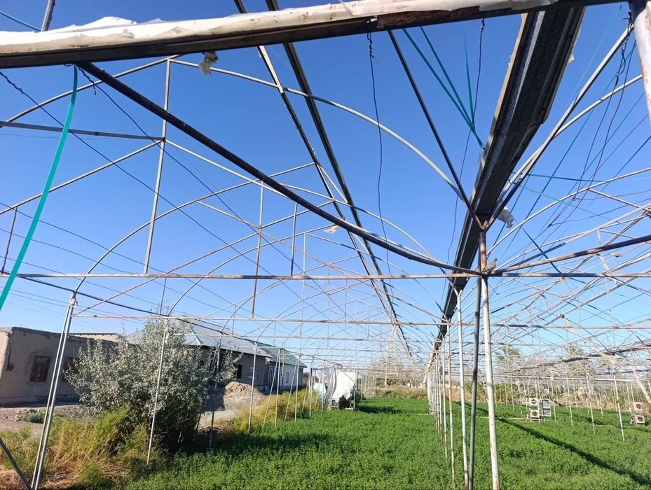 Келишилган холда