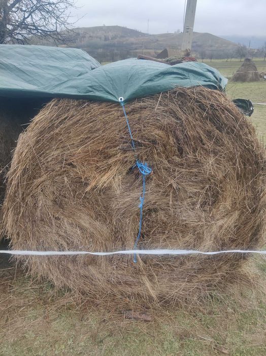 Baloți fân rotunzi