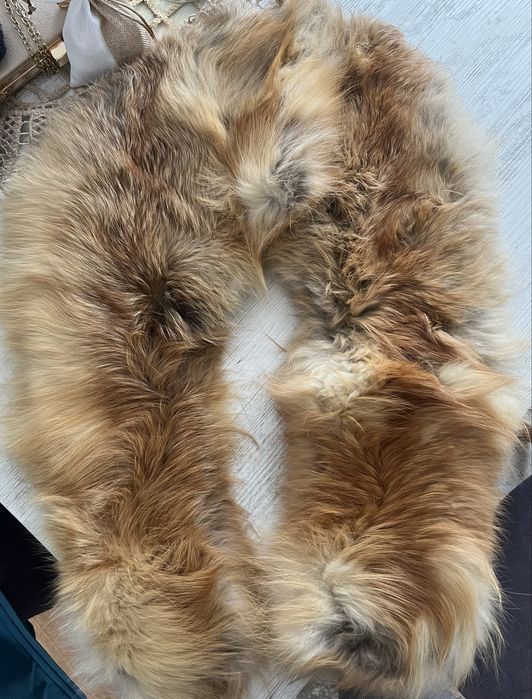 Guler vulpe naturala