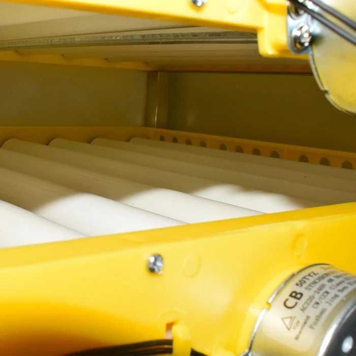 Професионален инкубатор, Люпилня MS-240 яйца (DC 12V / AC 220V)