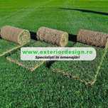 Producator - Gazon Rulou - Transport si Montaj - Toata tara!
