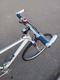 Bicicleta citit bike