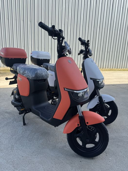 Scuter Saige Fara Permis Garantie si factura