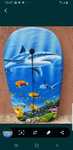 Placa surf, placa pluta de apa, barca /saltele gonflabile