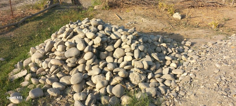 Bloznik sotaman.. narxi kelishamiz