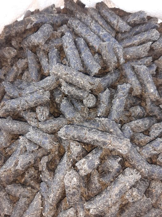 Srot de floarea soarelui