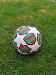 Minge de fotbal mărimea 5