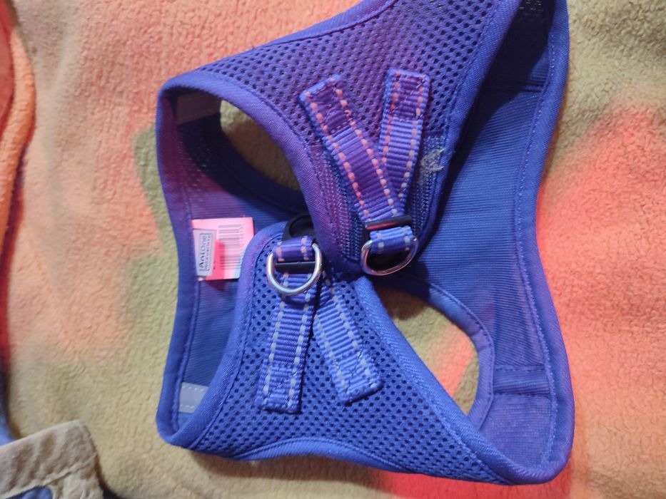 Vând ham pentru căței de talie mică