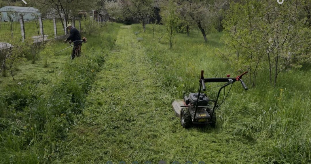 Defrisam Terenuri /Amenajam grădini