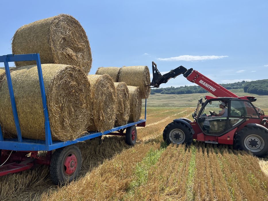 Baloti paie grau 250 kg
