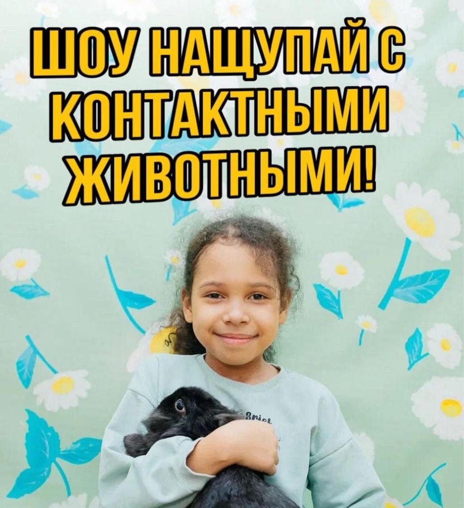 Шоу программа «Нащупай» со змеей