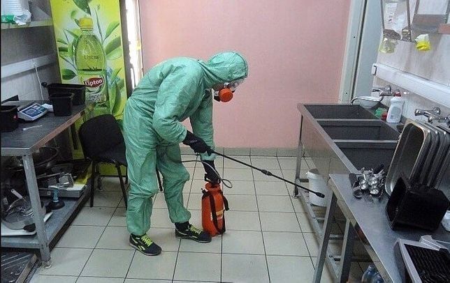 Дезинфекция Dizinfeksiya от Клопов Тараканов Мухи Камари Крыс Мышей