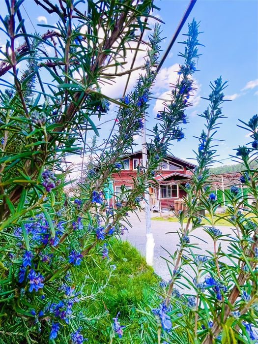 Дава се под наем Къща в Самоков - 120 кв.м за 204 € - Снимка #1