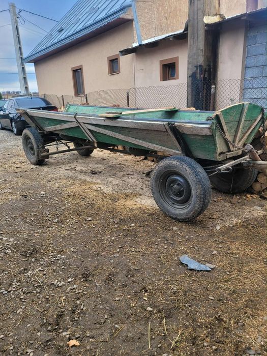 Mânză foarte bună de lucru