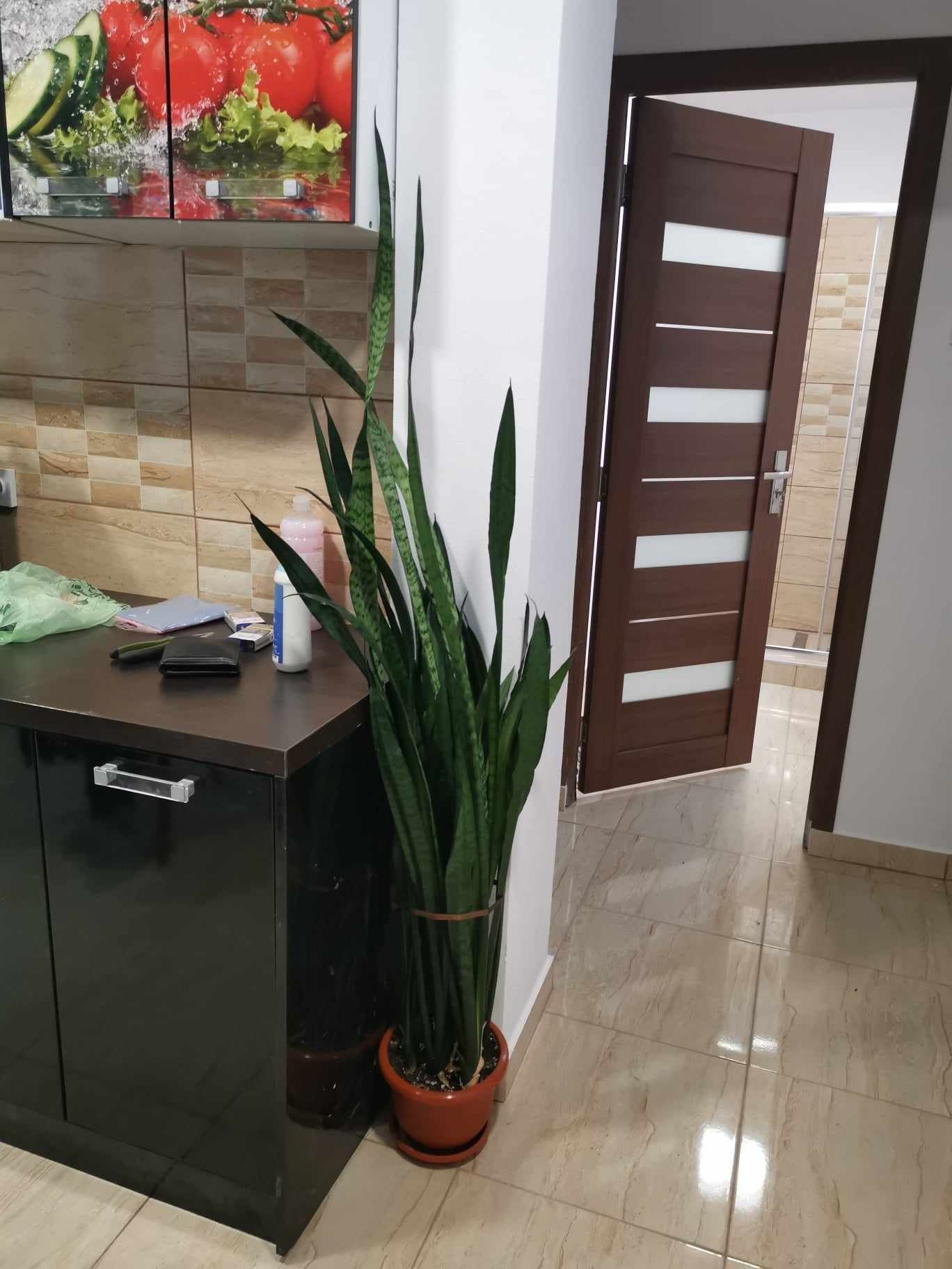 Apartament 2 camere decomandat lux