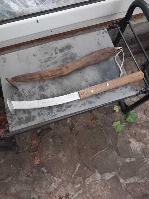 Кльонк за сом, два вида