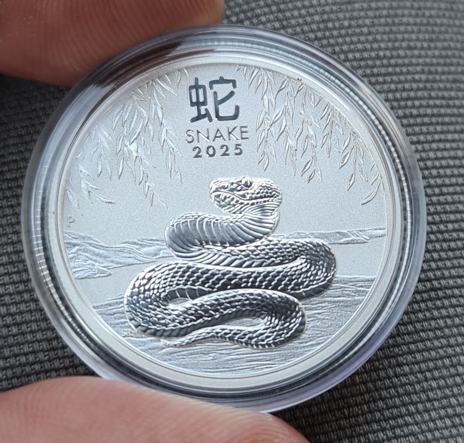 Сребърна монета, австралийски лунар, Змия, 1/2 унция, 2025 г.