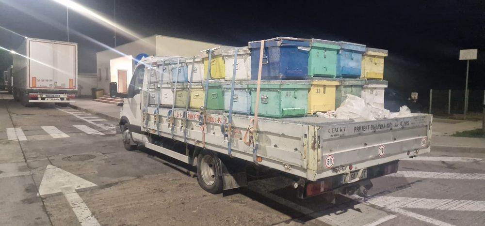 Iveco daily folosit doar la stupi, trec la camion!