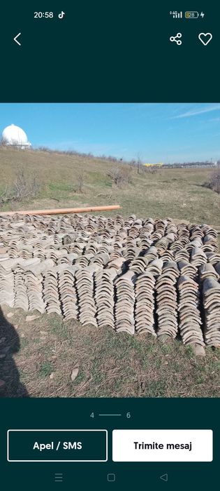 Vând olana 1.30 lei bucată