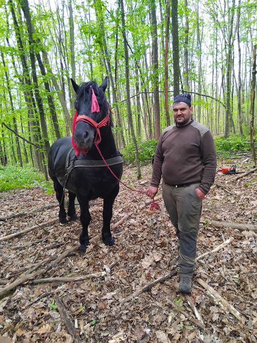 VAND URGENT  harmasari foarte cuminți