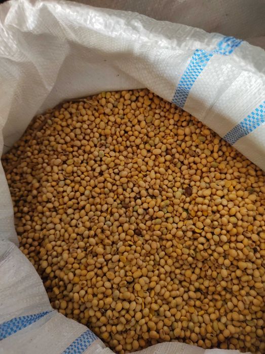 Vand 400 kg de soia 2025