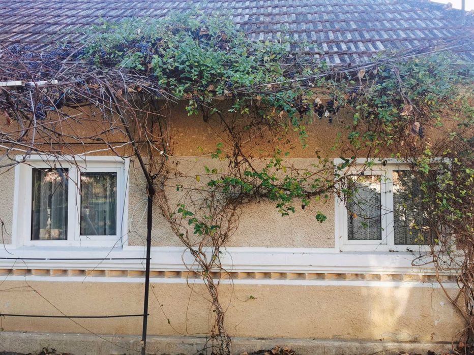 Casa Vanzare Valea Mare Pravat, Arges