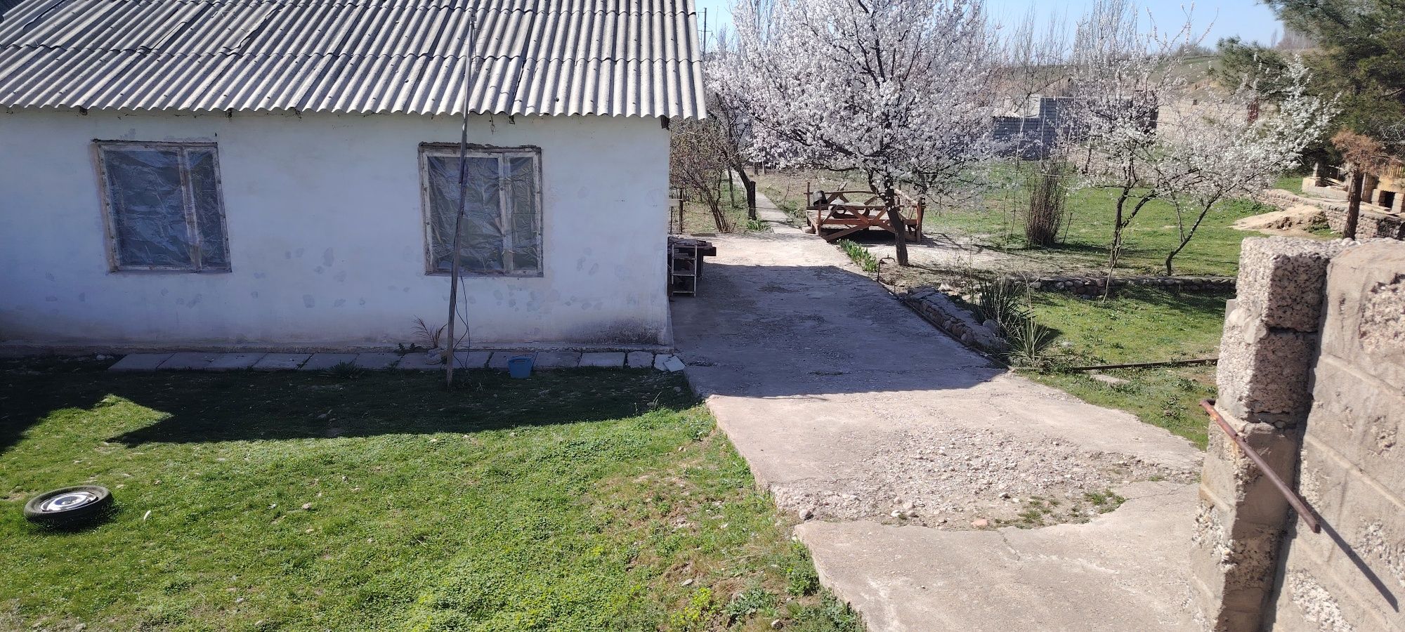 Uchastka 10 sotix dachniy zona Parkent