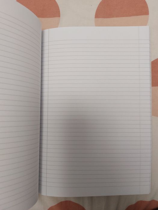 Caiet studențesc dictando 100 file