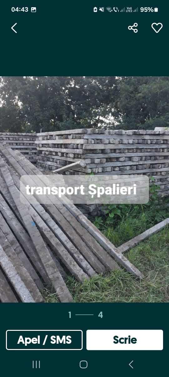 Transport spalieri toată tara