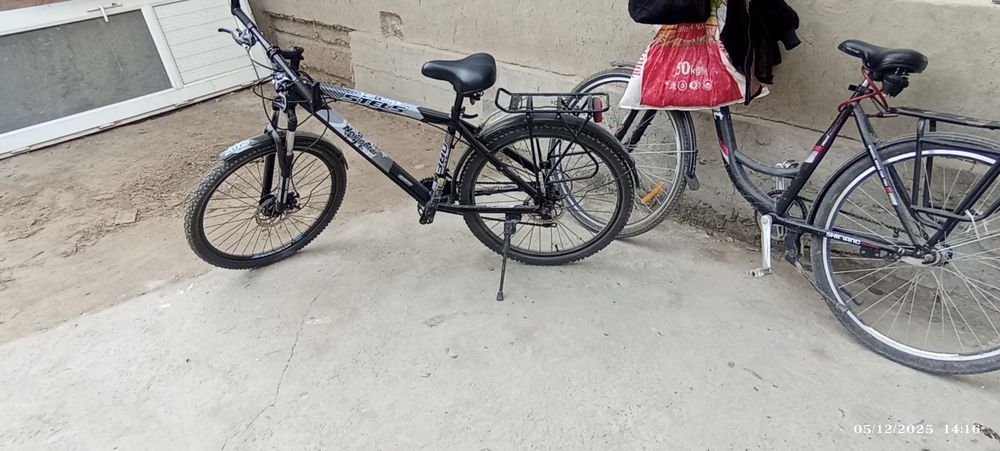 Vile alimin rama ediyal 1yil minilgan