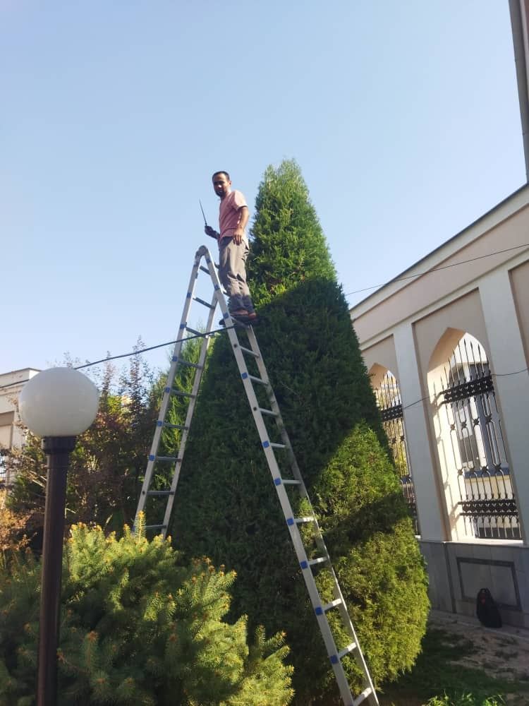 Gazon ikkish va Archa kesish Dorilash xizmati