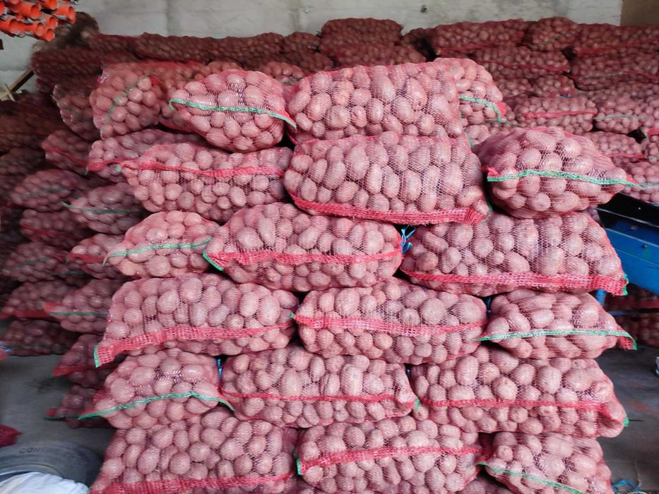 Cartofi consum roșu