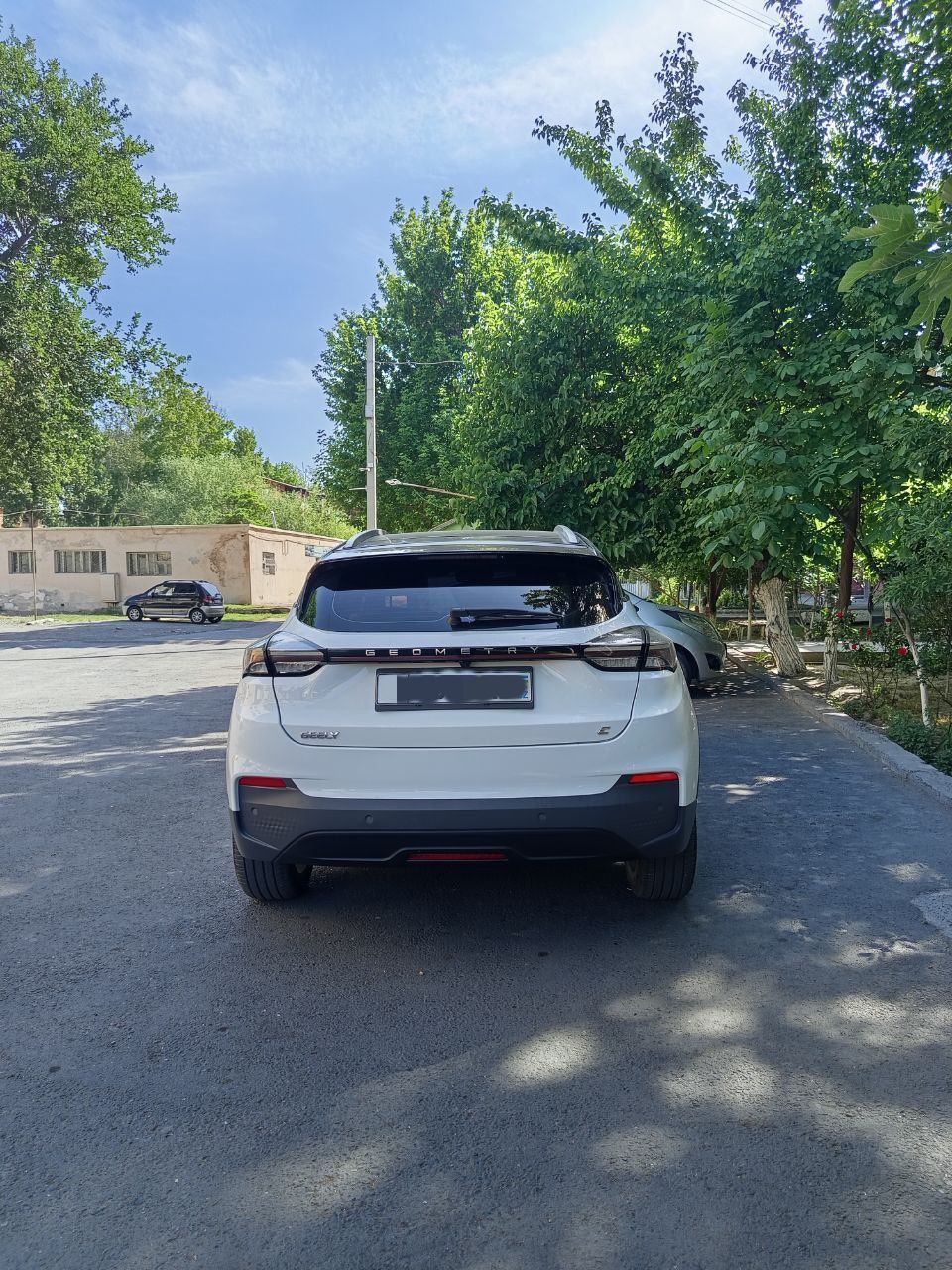 Geely geometry c